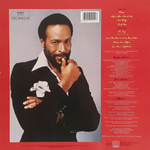 Marvin Gaye - In Our Lifetime VG+/NM(Pre Loved) - Image 2