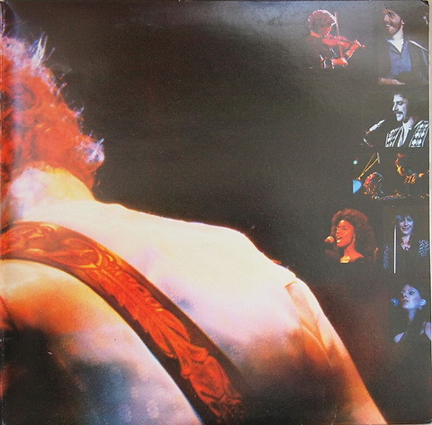 Bob Dylan - Bob Dylan At Budokan - VG+ / VG+ (2xLP-Pre Loved) - Image 3