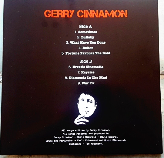 Gerry Cinnamon - Erratic Cinematic - Vinyl Record NM/NM (Pre Loved) - Image 2