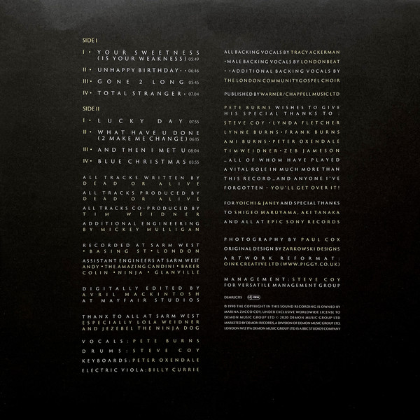 Dead Or Alive - Fan The Flame (Part I) - Vinyl Record NM/NM (Pre Loved) - Image 3