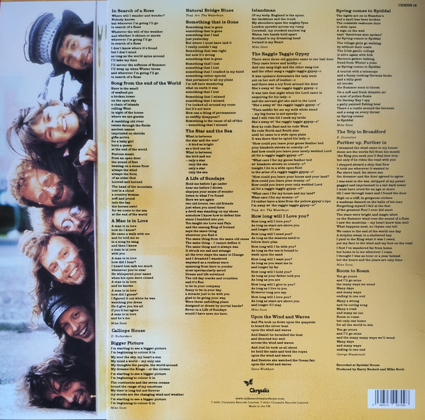 The Waterboys - Room To Roam - Vinyl Record – (New / Sealed) - Image 2