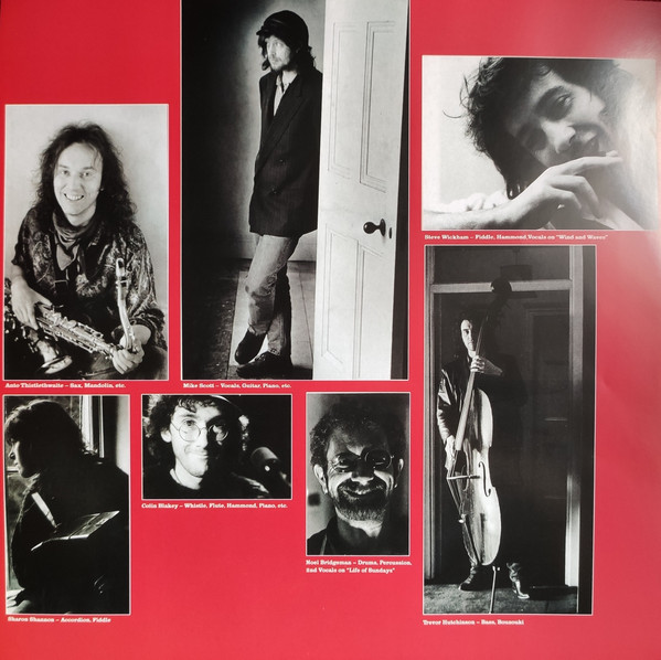 The Waterboys - Room To Roam - Vinyl Record – (New / Sealed) - Image 3