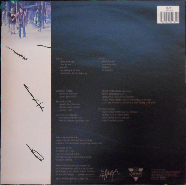 Violent Femmes - Hallowed Ground - Vinyl Record VG/VG+ (Pre Loved) - Image 2