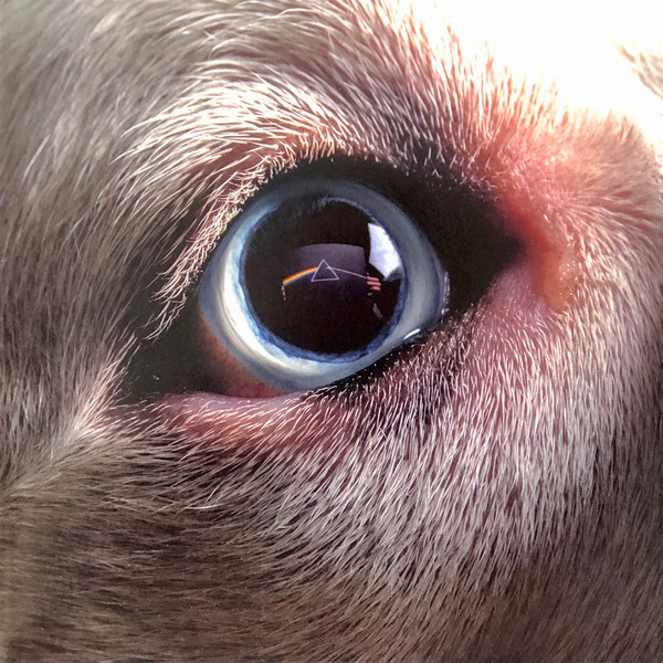 Roger Waters - The Dark Side Of The Moon Redux - Vinyl Record – (New / Sealed)