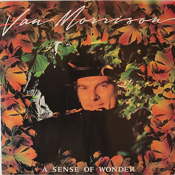 Van Morrison - A Sense Of Wonder - Vinyl Record VG+/VG+ (Pre Loved)