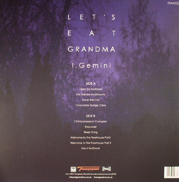 Let's Eat Grandma - I, Gemini - Vinyl Record NM/NM (Pre Loved) - Image 2