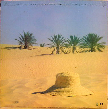 Poly Styrene - Translucence - Vinyl Record VG+/NM (Pre Loved) - Image 2