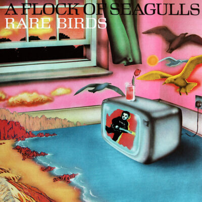 A Flock Of Seagulls-0