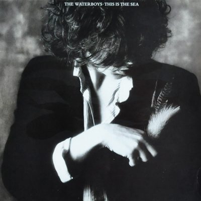 The Waterboys-0