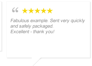 Reviews SwayzeRecords