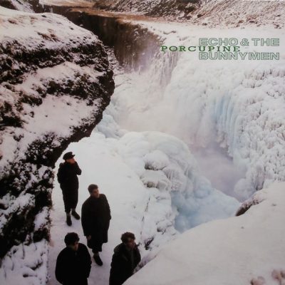 Echo & The Bunnymen-0