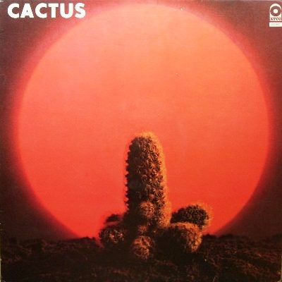 Cactus (3)-0