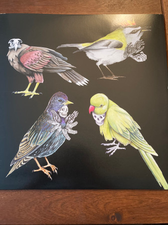 Jason Molina-3