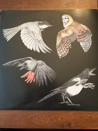 Jason Molina-4