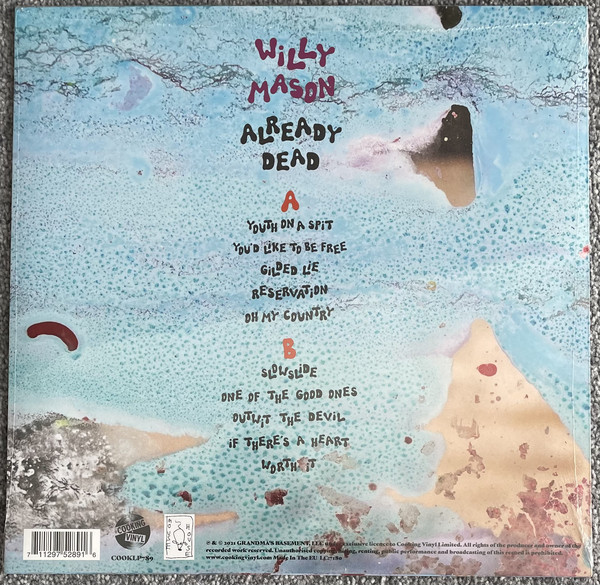 Willy Mason-1