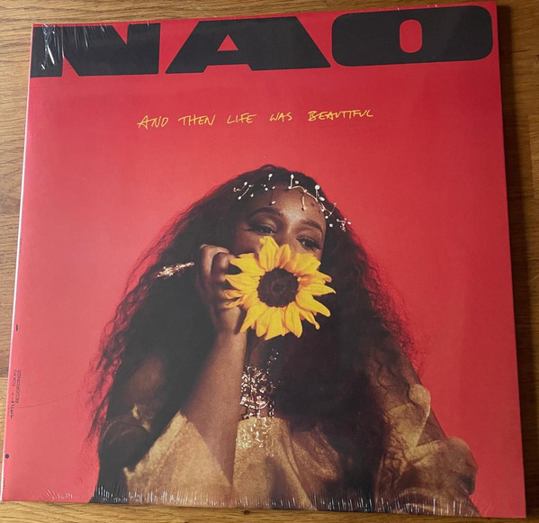 Nao (33)-2