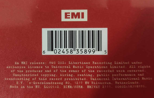 The Libertines-4