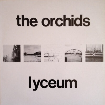 The Orchids (2)-0