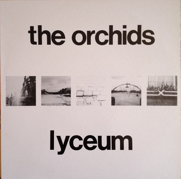 The Orchids (2)-0