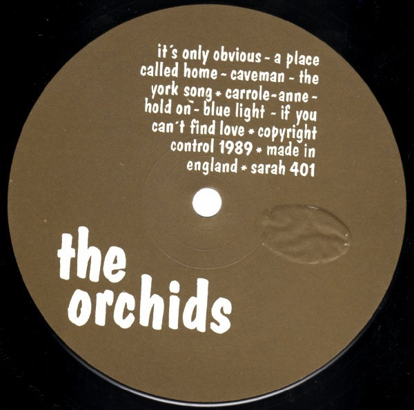 The Orchids (2)-2